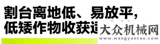 秋穗粒盡收中聯(lián)重科TE80收割機(jī) 多作物兼收 用戶必備的增收良器！中聯(lián)重