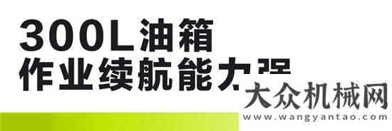 場絡(luò)繹不絕谷王極光TB80收割機(jī)——秉承經(jīng)典 續(xù)寫傳奇山東常