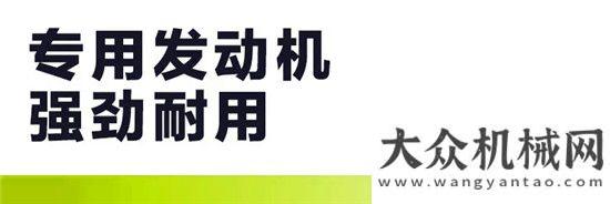 場絡(luò)繹不絕谷王極光TB80收割機(jī)——秉承經(jīng)典 續(xù)寫傳奇山東常