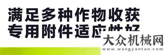 場絡(luò)繹不絕谷王極光TB80收割機(jī)——秉承經(jīng)典 續(xù)寫傳奇山東常