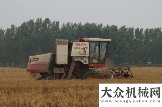 力雨季搶收農(nóng)人日記：一臺雷沃谷神小麥機(jī)，富裕了兩代人雜交水