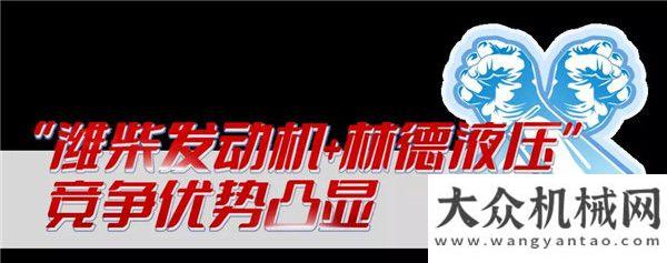 河大桥2021成绩单｜潍柴连续霸榜工程机械动力多个细分领域柳工欧