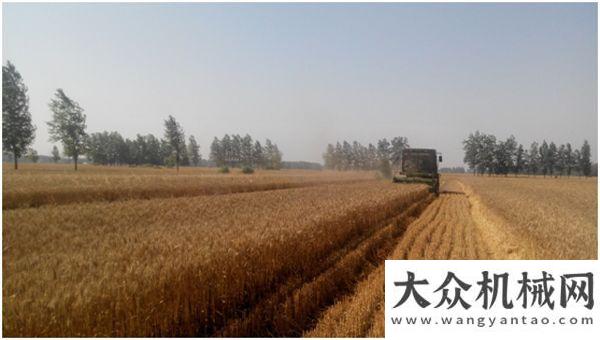 麦收新常态牵手“中联谷王”：讲述一个“普通农机手”到“农机创客”的华丽转身全机械