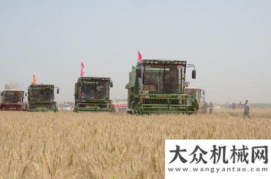 战三夏麦收中联重科谷王收割机领衔河北三夏麦收国内首