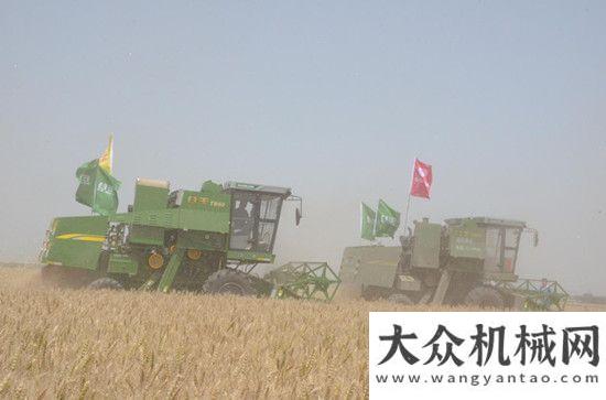 战三夏麦收中联重科谷王收割机领衔河北三夏麦收国内首