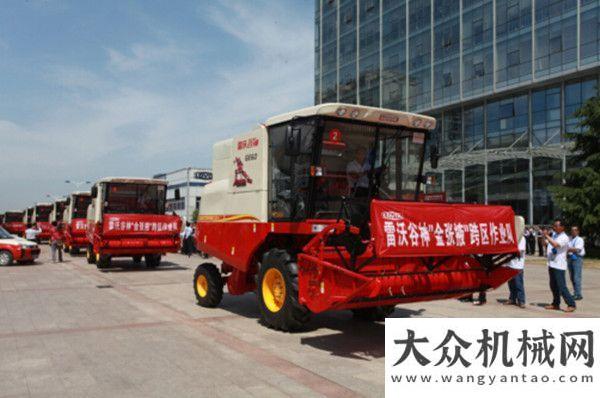 軍征戰(zhàn)三夏千里購雷沃谷神 300甘肅農(nóng)機手再踏三夏掘金路安徽再