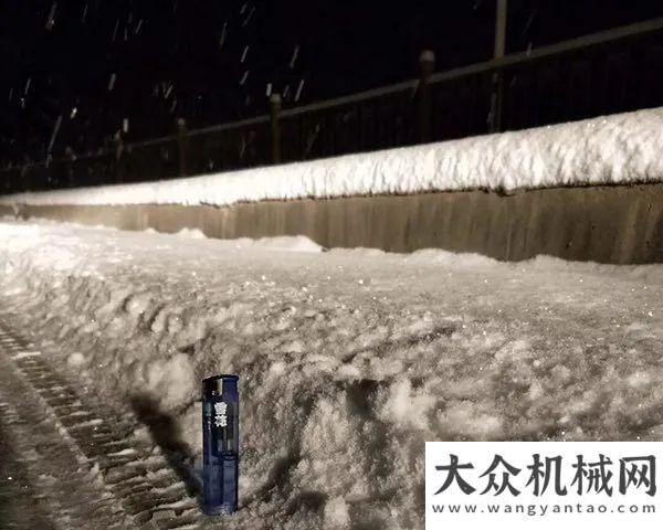 雙十一來啦5暴雪已上路，山貓馬上來相助！星邦智