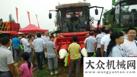 為市場(chǎng)新寵8月，雷沃谷神玉米機(jī)持續(xù)熱銷山東常