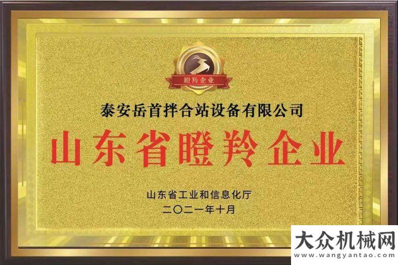 輸動力大單喜報！岳首筑機獲評2021年度山東瞪羚企業(yè) 以實力打造高質(zhì)量發(fā)展新引擎用芯保