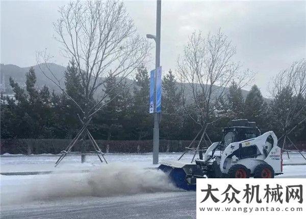 反思改進(jìn)會共賞冬奧 | 瑞雪兆豐年，山貓護平安正視不