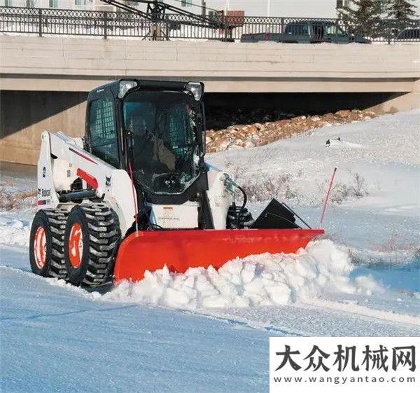 反思改進(jìn)會共賞冬奧 | 瑞雪兆豐年，山貓護平安正視不