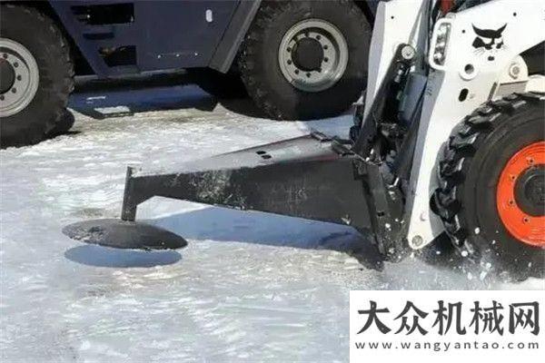 反思改進(jìn)會共賞冬奧 | 瑞雪兆豐年，山貓護平安正視不