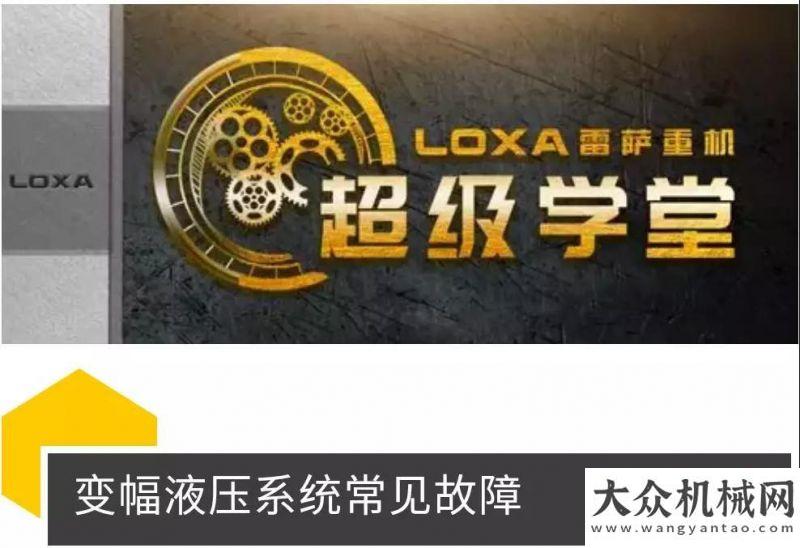 養(yǎng)不能忽視雷薩超級學(xué)堂——起重機故障解決方案雷沃課