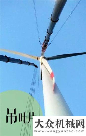 東鋁電中聯(lián)重科QAY800助建涼風坳風電場用吊裝