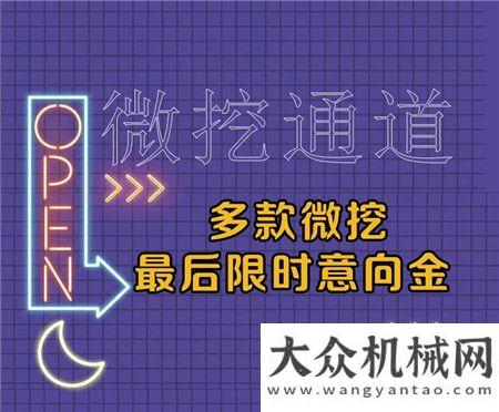 柳工：倒計(jì)時三天，雙十二驚喜直播即將開啟！