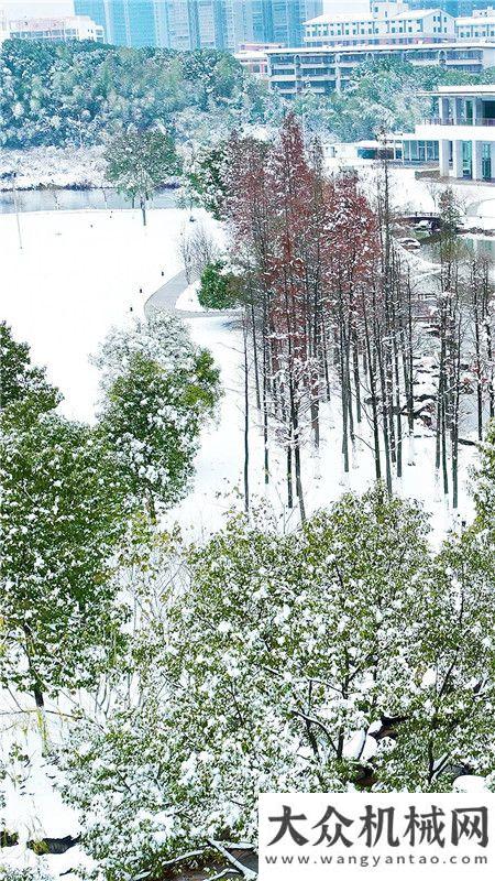 來了！你們要的三一雪景！