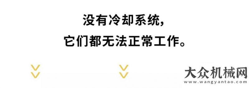 貨熱火朝天特邀利勃海爾三位專家和你談?wù)劇袄洹爸R初冬季