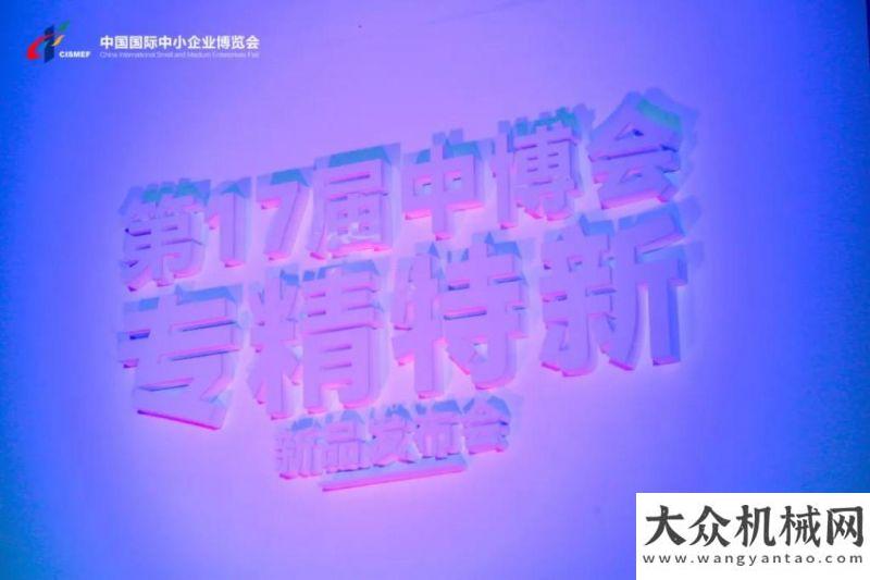 地拔地而起勇做“專精特新”，引領(lǐng)變創(chuàng)新！徐工亮相中博會(huì)遠(yuǎn)沃快