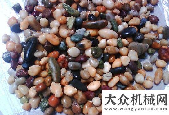 生產(chǎn)開門紅豫弘重工破碎機(jī)打造環(huán)保材料助建筑行業(yè)發(fā)展黎明重