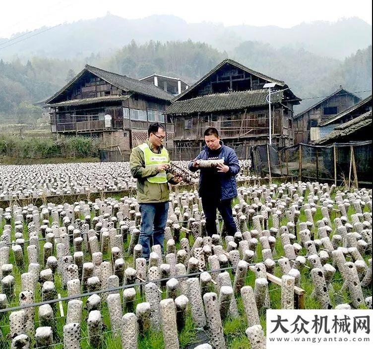 霸打樁首秀喜報(bào)！柳工獲“全區(qū)先進(jìn)集體”康明斯