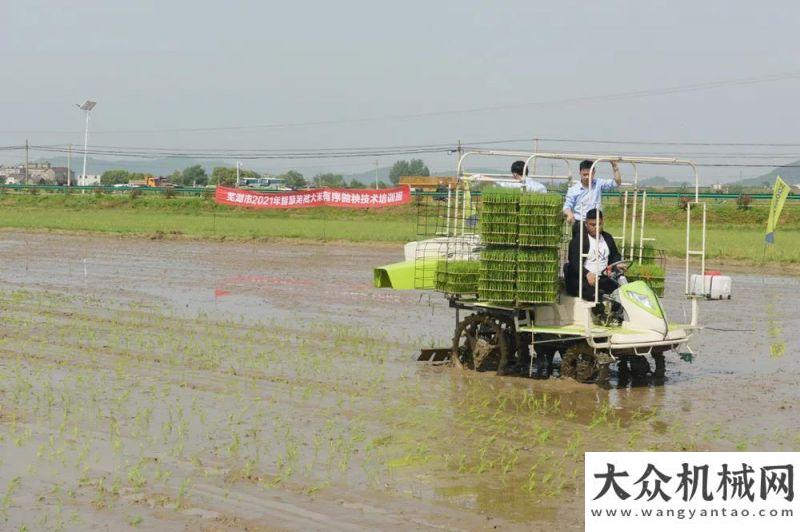 堅先進集體中聯(lián)智慧農(nóng)業(yè)：加強培訓(xùn)推廣，讓智慧蕪湖大米“全面開花”喜報柳