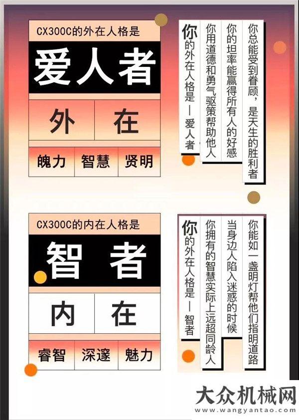 高效且專(zhuān)業(yè)凱斯C的榮格測(cè)試維特根