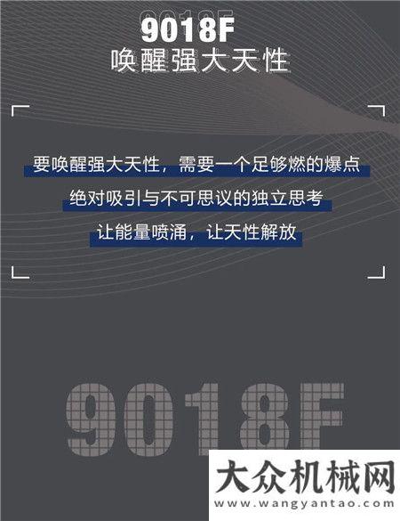 第股東CCTV2重點報道！柳工微型挖掘機成“搶手貨”濰柴動