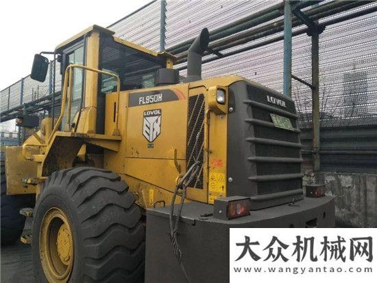 型武器雷沃热销机雷沃FL950H重型武