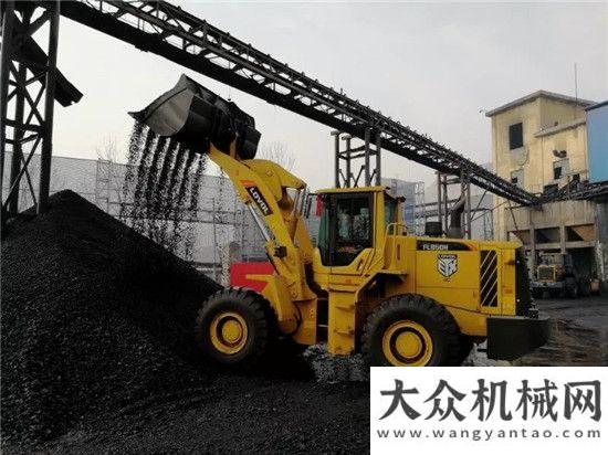 型武器雷沃热销机雷沃FL950H重型武