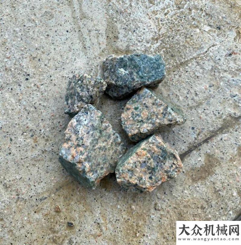 重比賽冠軍上海金泰:明星產(chǎn)品 豪華陣容 登陸澳門參建特區(qū)防災(zāi)減災(zāi)基建工程武漢機