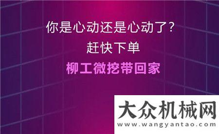 柳工金秋微挖網(wǎng)促匯 | 狂歡福利進(jìn)行時(shí)~