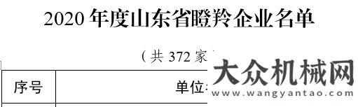 速順利開鋪方圓集團有限公司獲評山東第四批“瞪羚企業(yè)”中大機