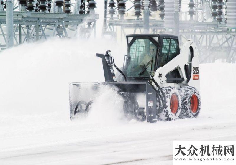 司實力獲評每次下雪，都會想起“撒歡”的山貓們……全球先