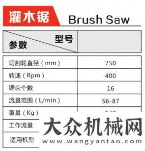 流建工作大“喵”的奇門兵器，不多見但好用到爆！安徽合