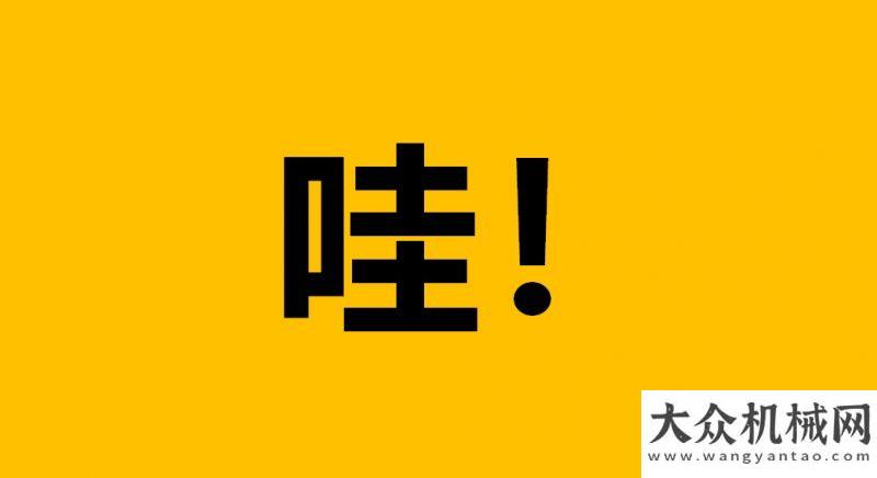 雷沃重工【金日交機】1，2，3……15……20……臺！