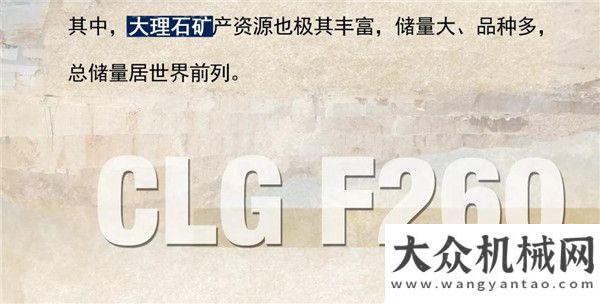 柳工：特殊領(lǐng)域，更見專業(yè)——叉裝大理石，選F260就穩(wěn)了