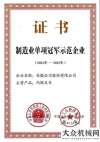 站火熱開啟安徽合力入選“制造業(yè)單項冠軍示范企業(yè)”實干家