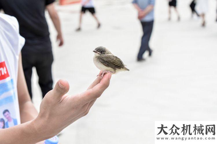 結(jié)會議鐵拓機(jī)械十五慶典系列報道——游園精彩集錦方圓集