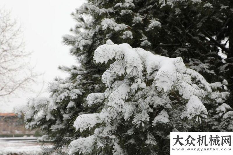 山重建機(jī)：你那里下雪了嗎