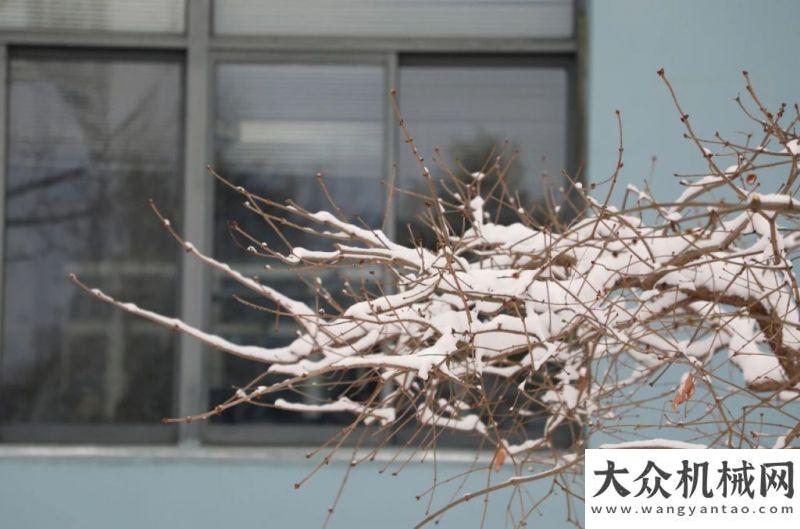 山重建機(jī)：你那里下雪了嗎