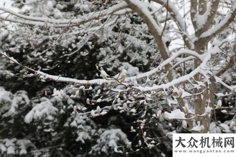 山重建機(jī)：你那里下雪了嗎