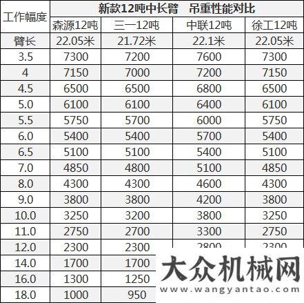 坦公路森源爆款12噸吊車上市，性能完全對(duì)標(biāo)XCT12，超高性價(jià)比！無畏嚴(yán)