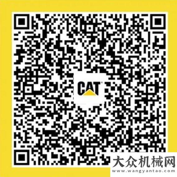 理完勝歸來CAT?（卡特）鏈軌有一套，“長壽”秘密全知道！埃及國