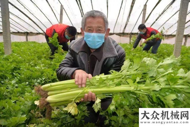 者主動出擊馳援武漢，臨工集團捐贈150噸蔬菜已發(fā)出疫災(zāi)無