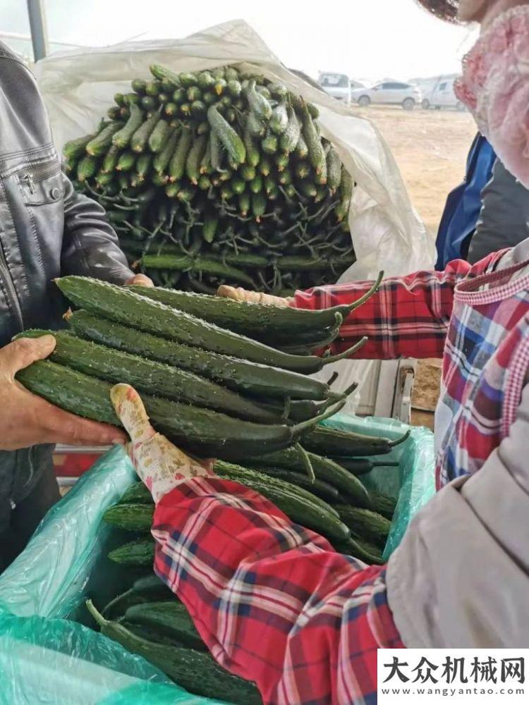 者主動出擊馳援武漢，臨工集團捐贈150噸蔬菜已發(fā)出疫災(zāi)無