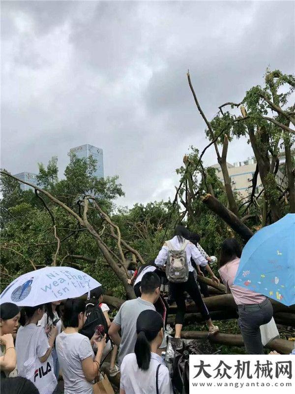 馬參觀考察搶險(xiǎn)救災(zāi)，小山貓也可以有大作為浙江新