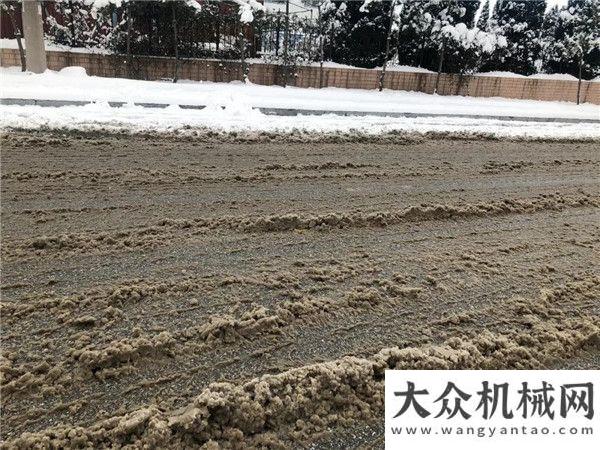 閃亮印度展凱斯除雪：Be Real三一攜