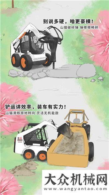 市再迎貴客山貓：5.1游園，數(shù)數(shù)遇到了幾只“大喵”？雷沃挖