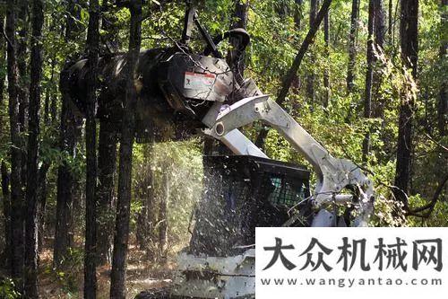 雙鉅惠來襲山貓：吃樹的機(jī)器山推正