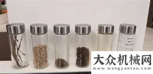 工會寶峨資源公司在阿聯(lián)酋生物能源研究里程碑式的成就中發(fā)揮重要作用華菱星